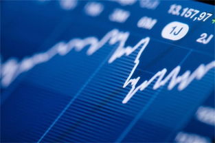 市場風(fēng)險(xiǎn)咨詢委員會 比特幣期貨自我認(rèn)證工程